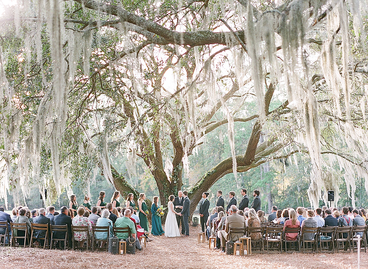Wedding Ceremony Under Huge Oak Tree 