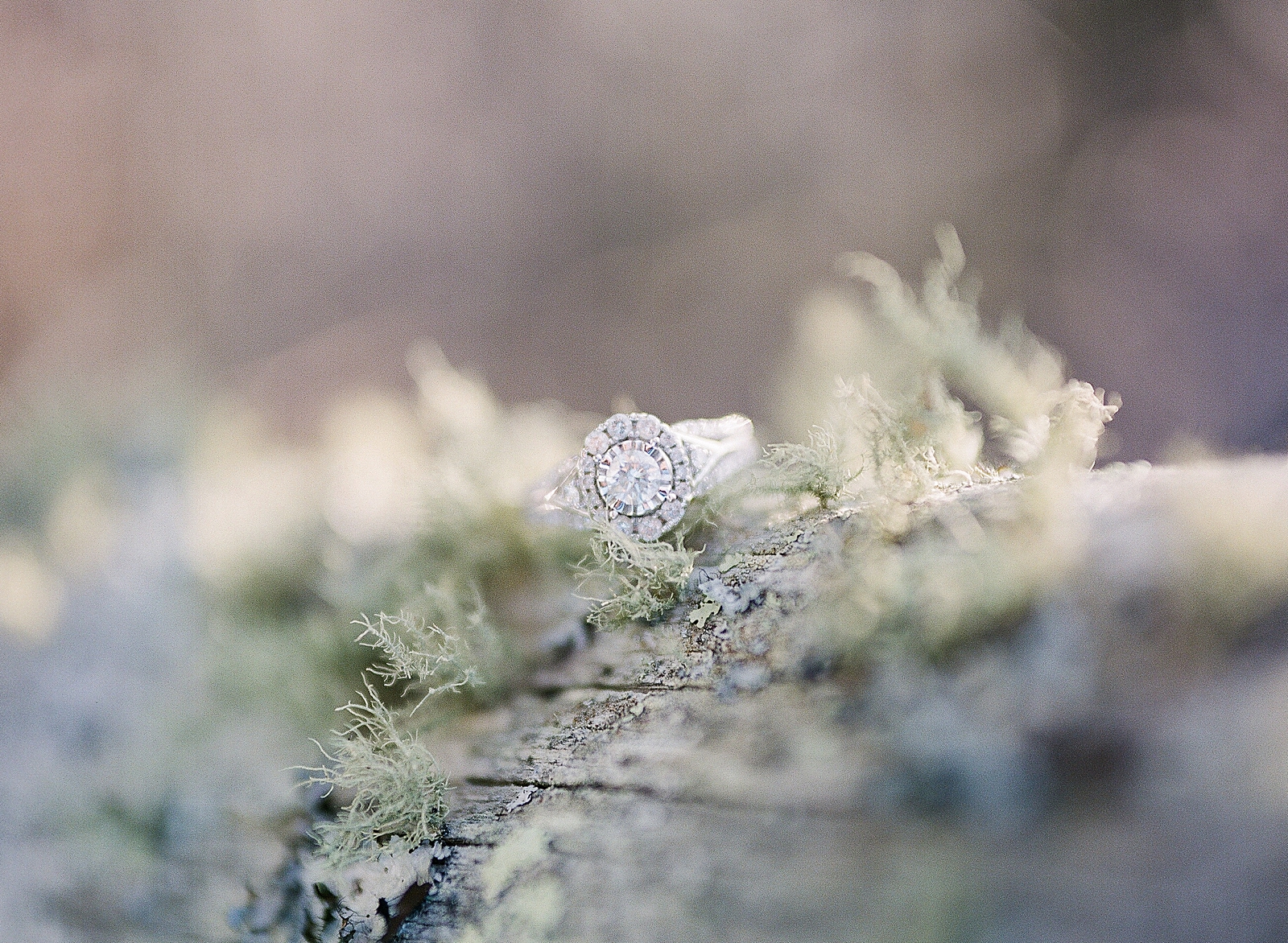 Detail Of Engagement Ring Photo