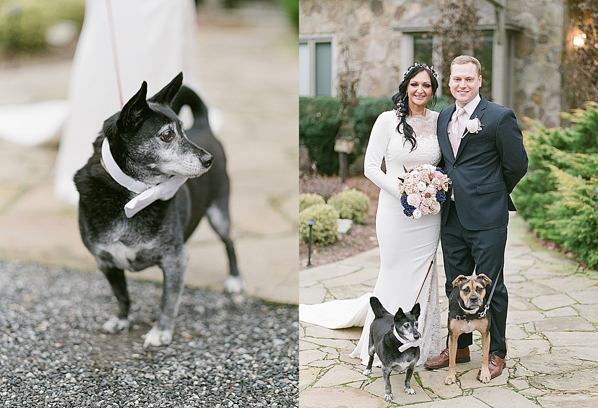 Wedding Dog in Bowtie and Couple Smiling at Camera with Dogs Photos 