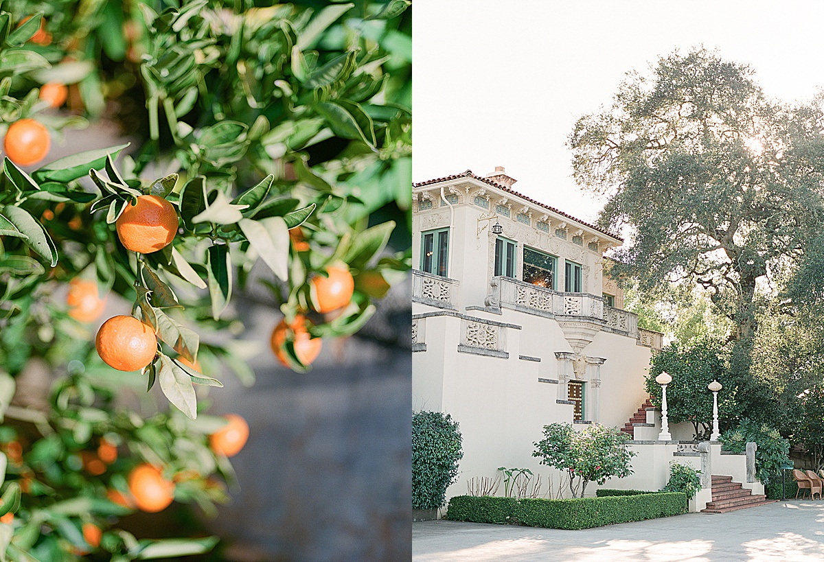 Highway 1 California Oranges On Tree and Hearst Castle Photos 