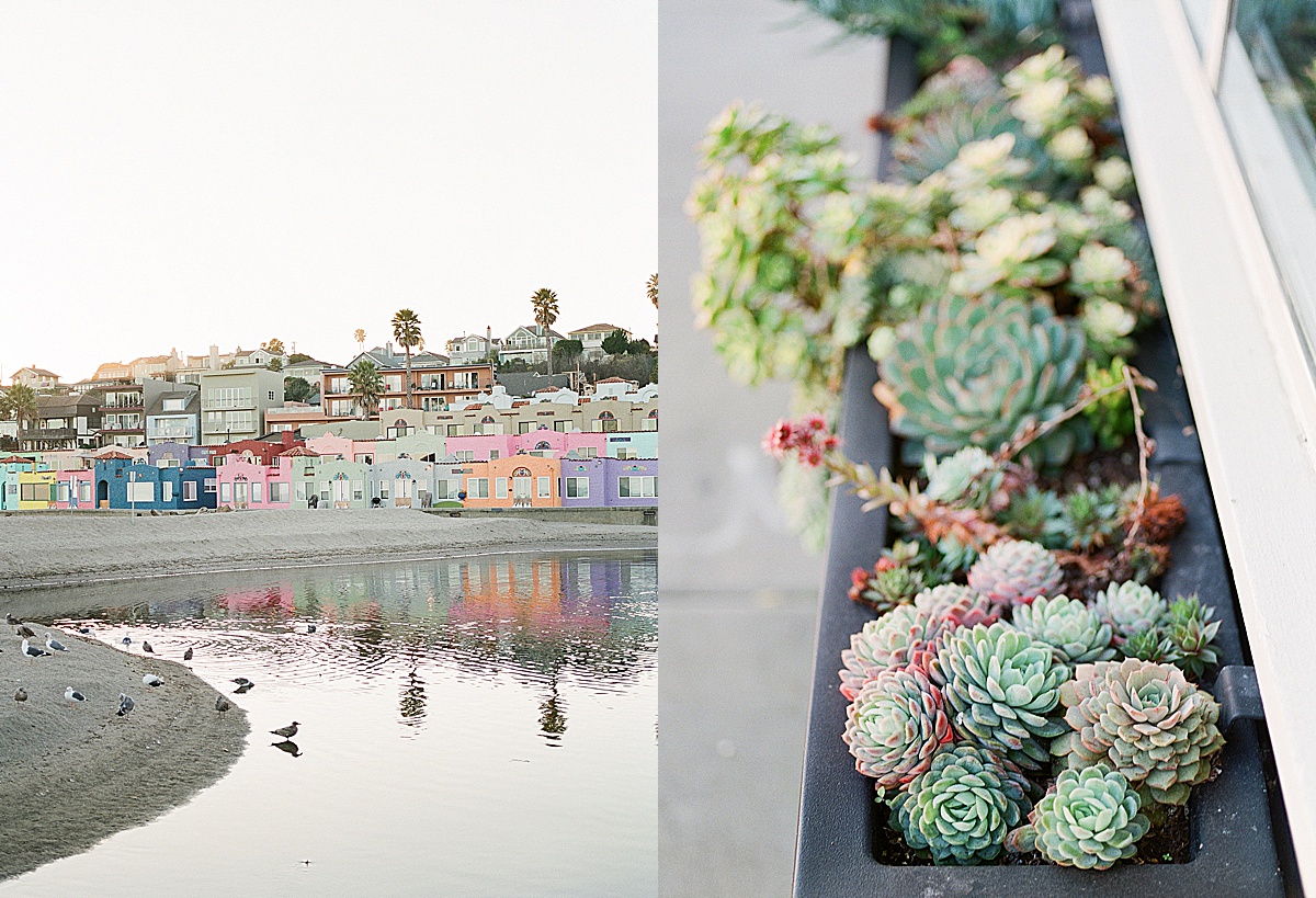 Highway 1 Capitola California Colorful Beachfront And Succulents Photos 