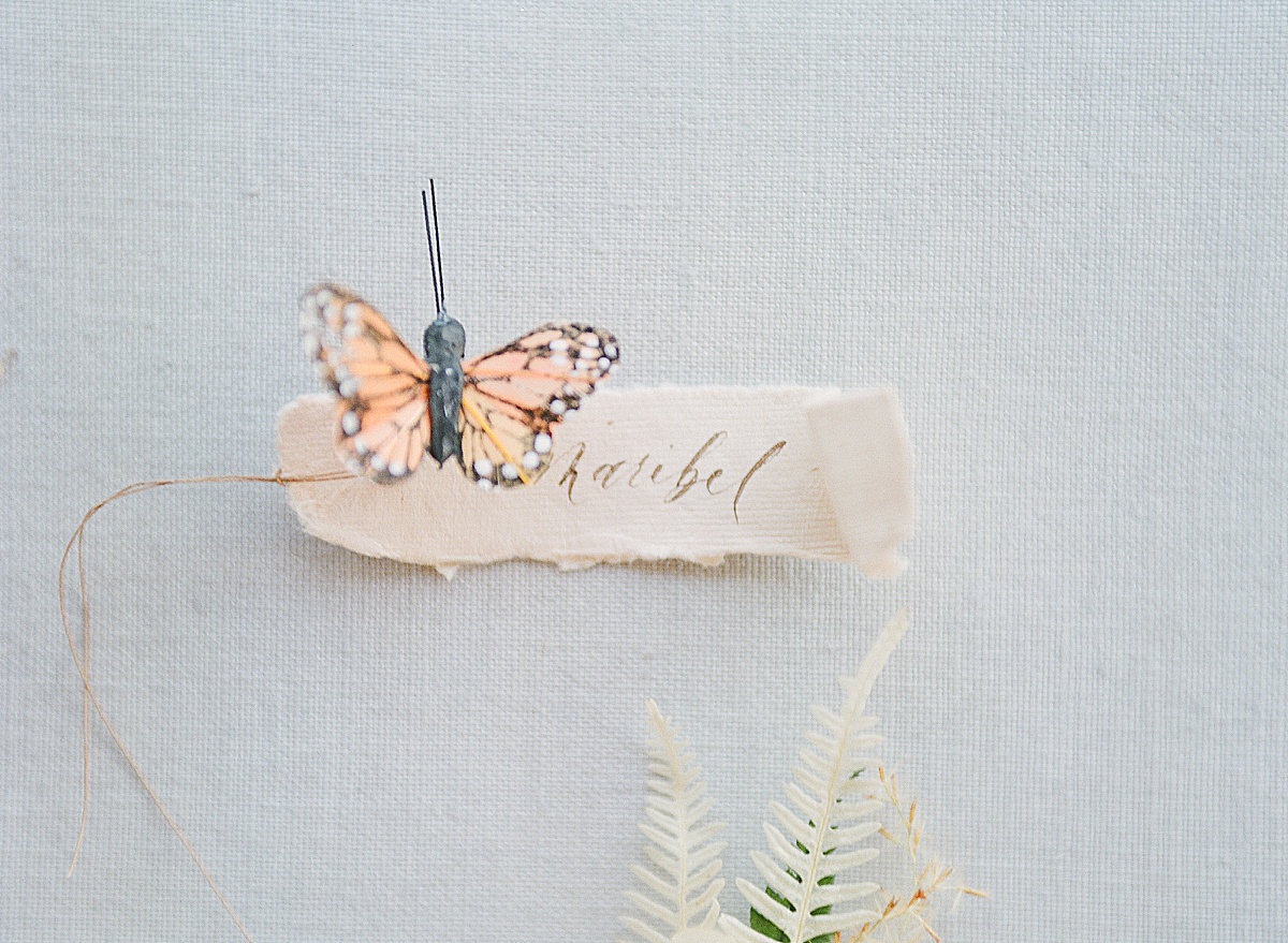 Detail of Name Tag with Butterfly Photo 