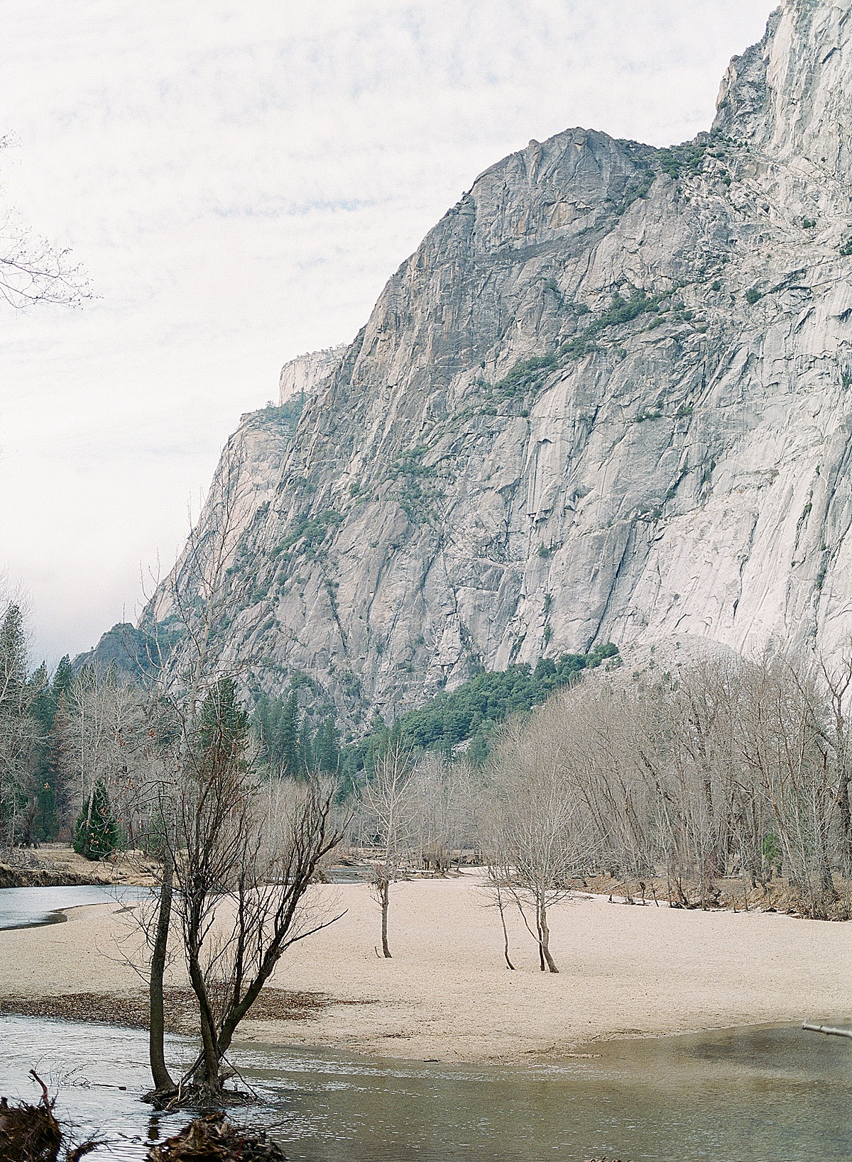 Yosemite Valley Floor Photo 