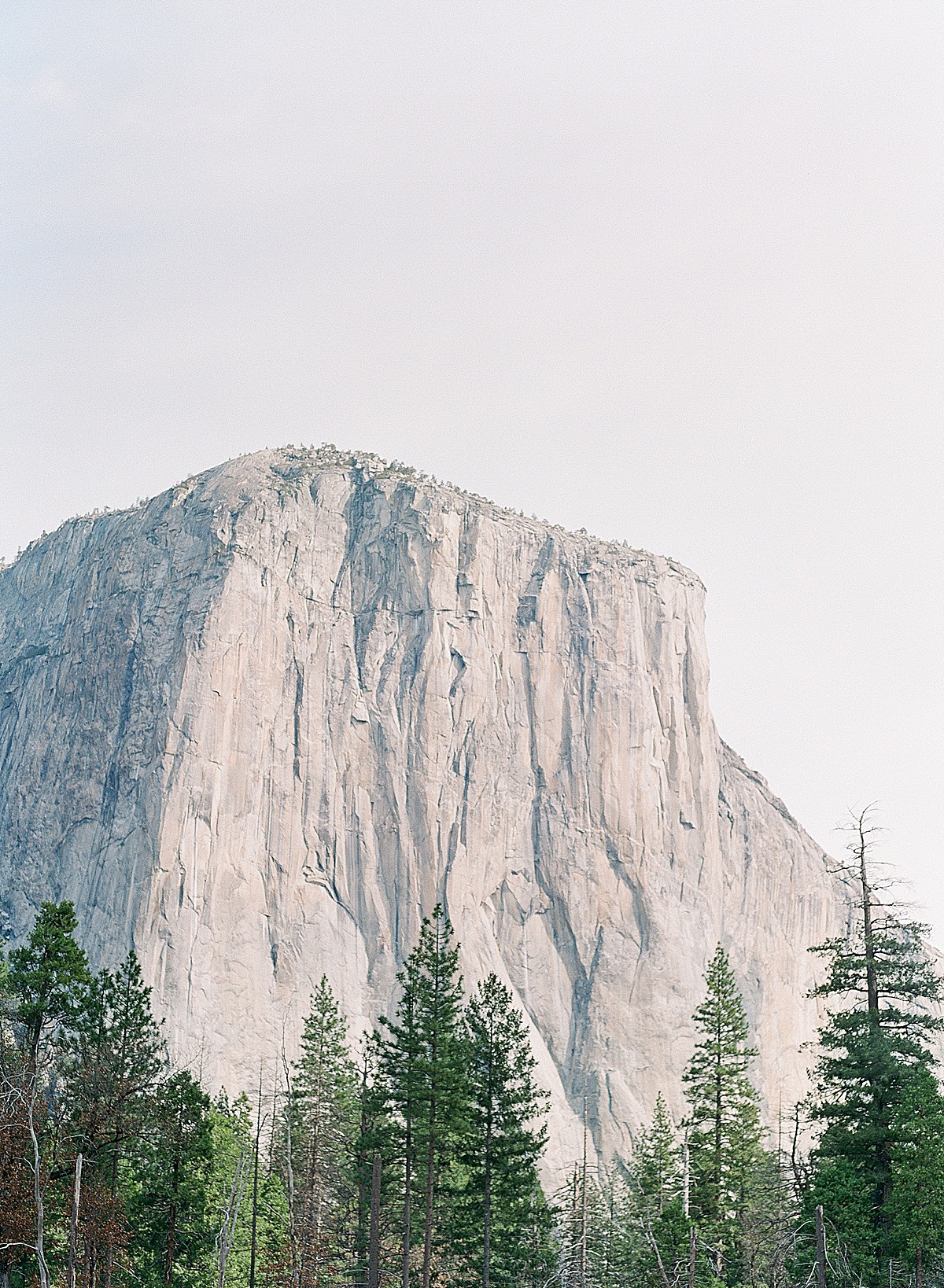 Yosemite Valley Photo 