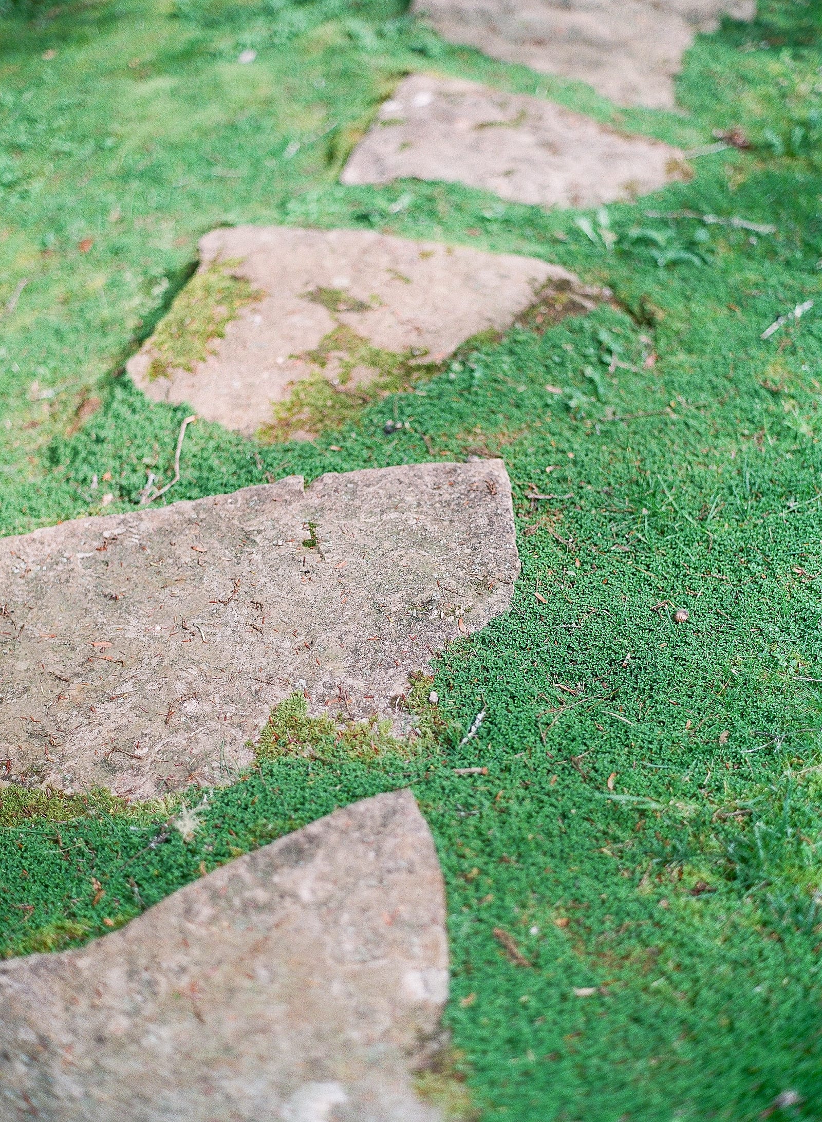 Detail of Stepping Stones at Old Edwards Inn Photo 