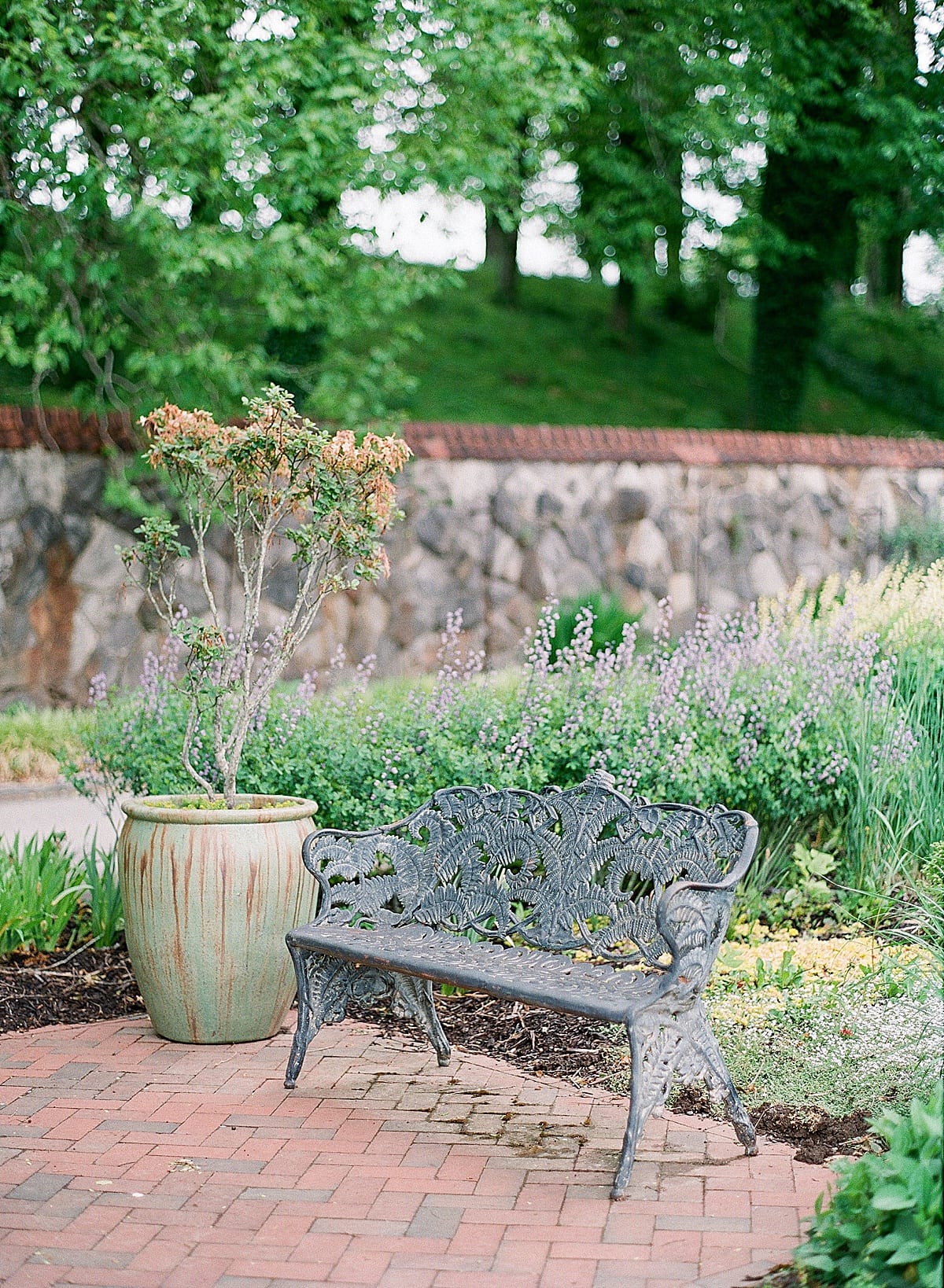 Biltmore Estate Garden Bench Photo 