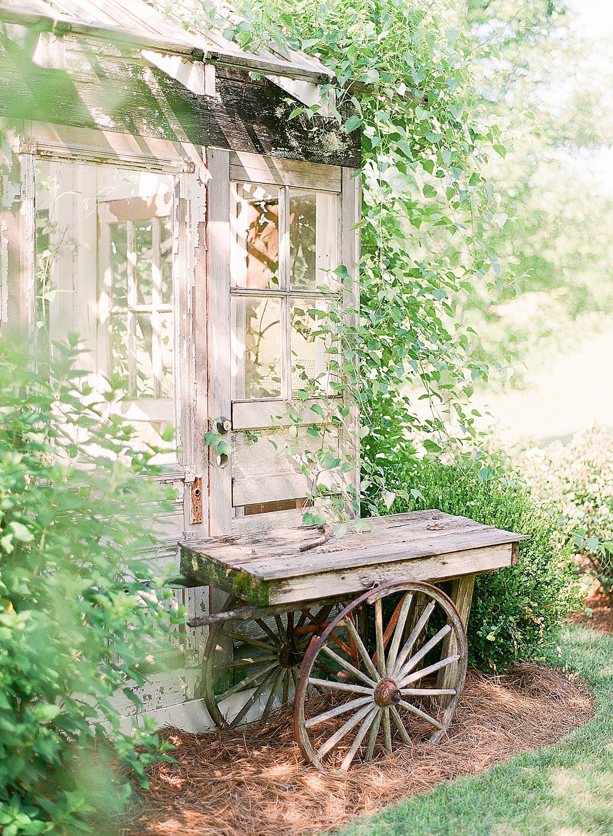 Mint Springs Farm Wedding Venue Greenhouse Photo 