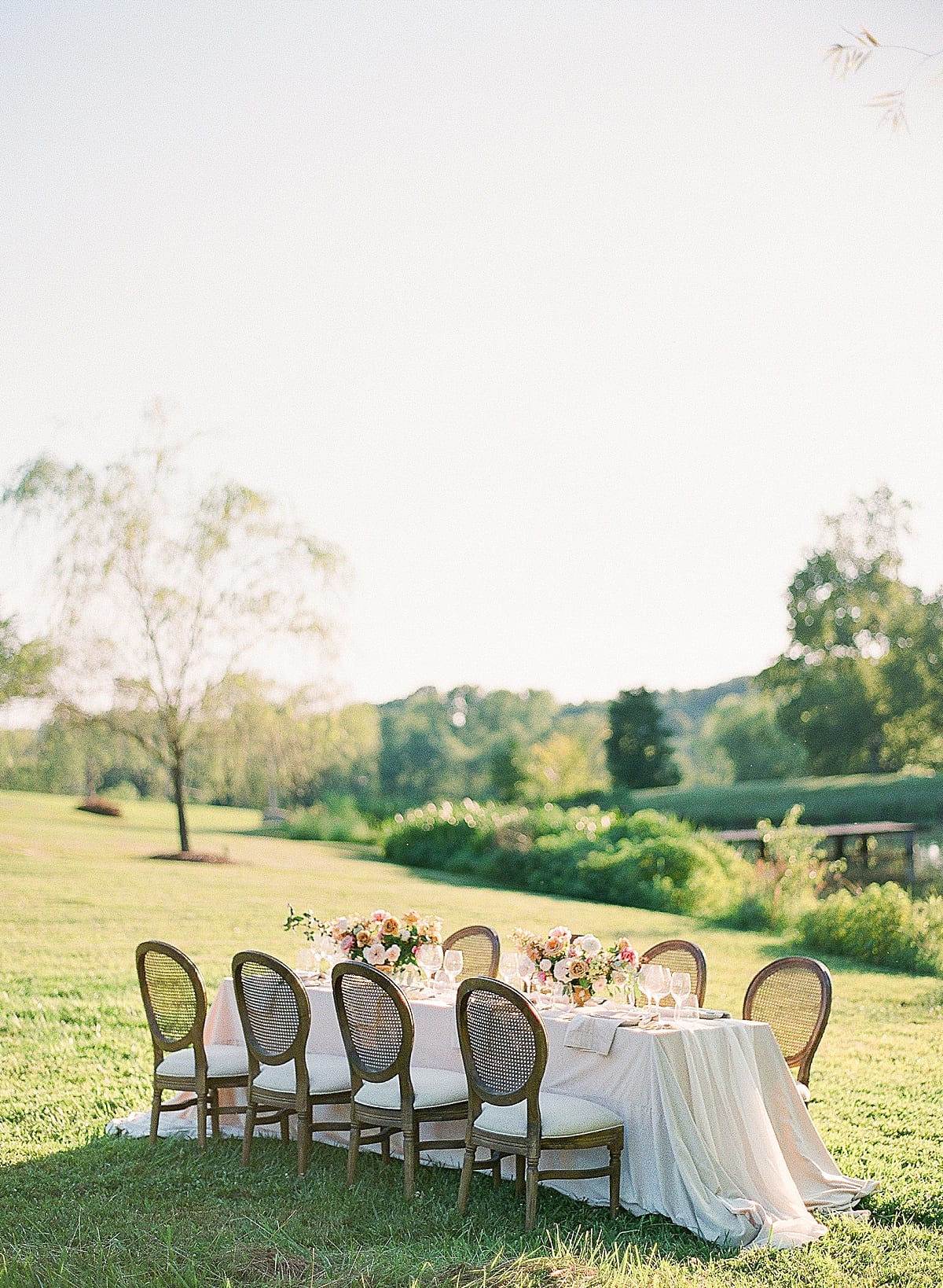 Mint Springs Farm Wedding Venue in Nashville Table in Field Photo 