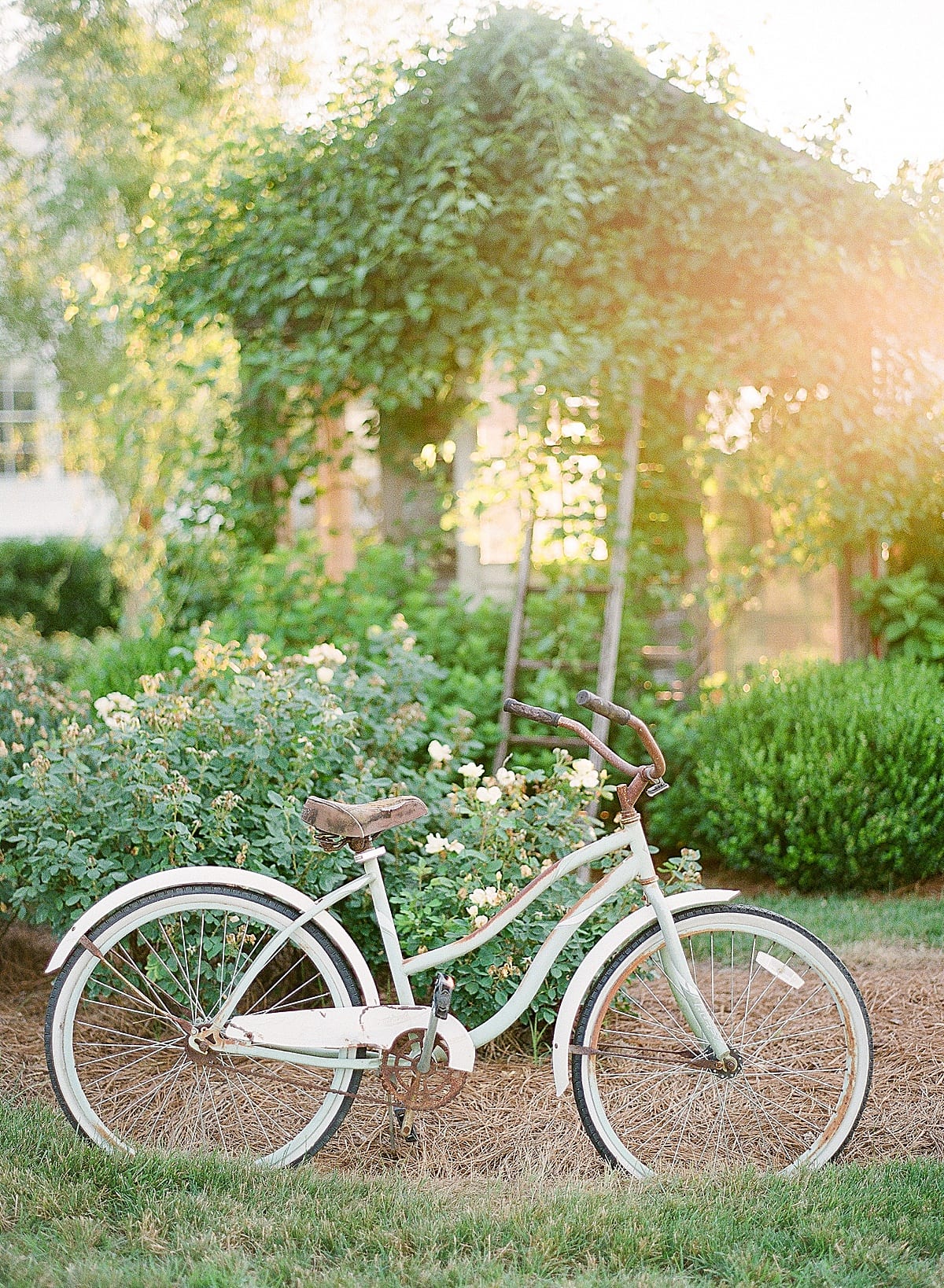 Mint Springs Farm Wedding Venue Bicycle Photo 