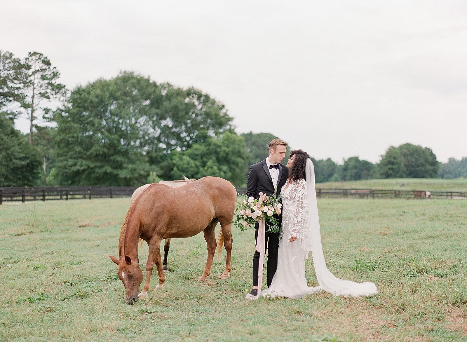 Bride and Groom In Field with Horses at Inn at Serenbe Photo