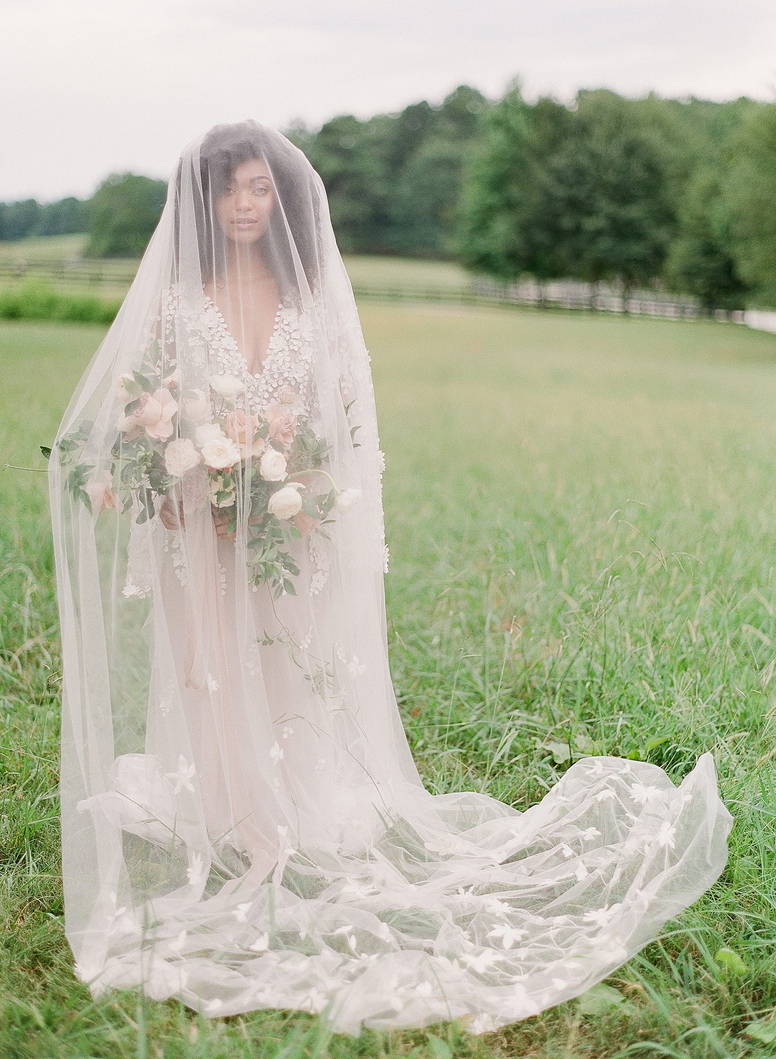 Bride with Veil over Face Photo