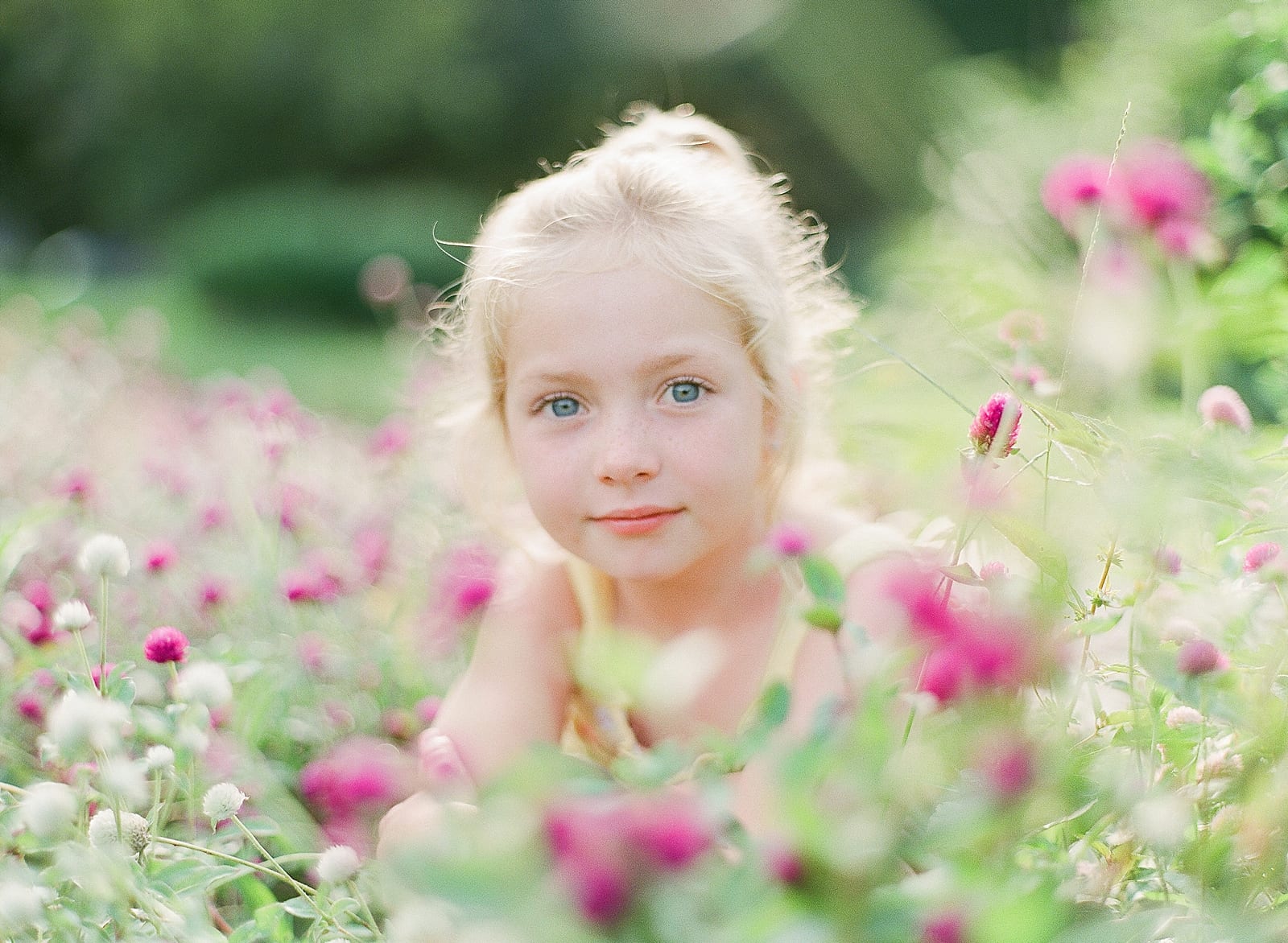 Little Girl in Purple Flowers Photo