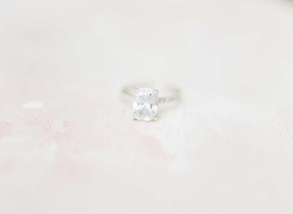 Diamond Engagement Ring Detail Photo 