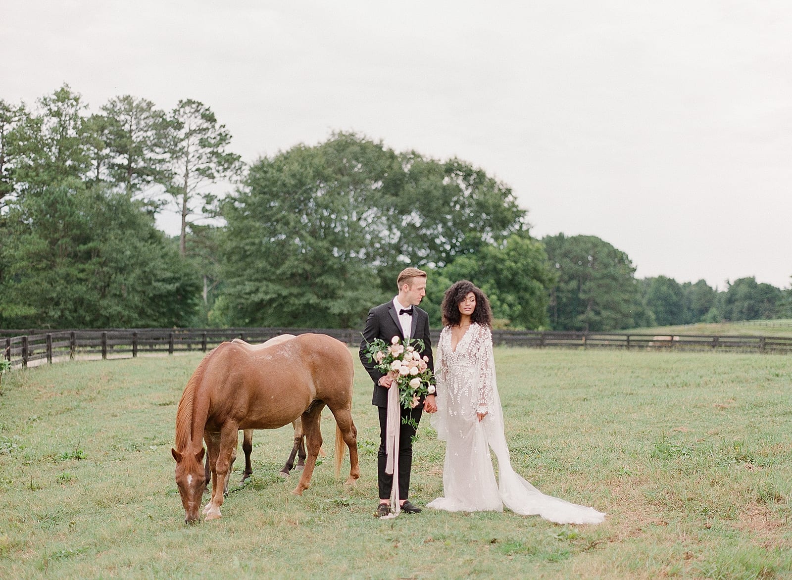 Bride and Groom in Field at Serenbe GA with Horses Photo