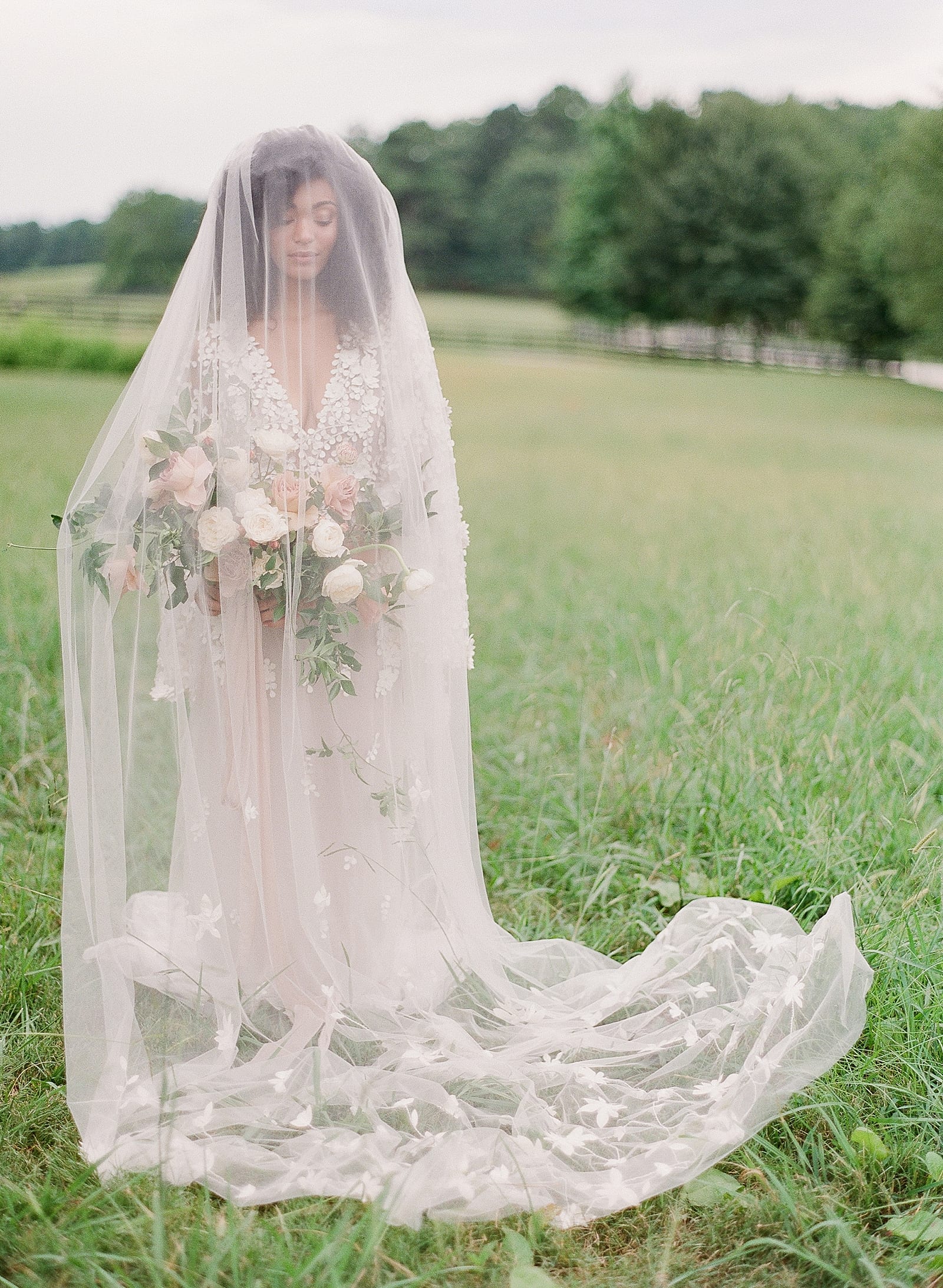 Bride with veil Over Head Photo