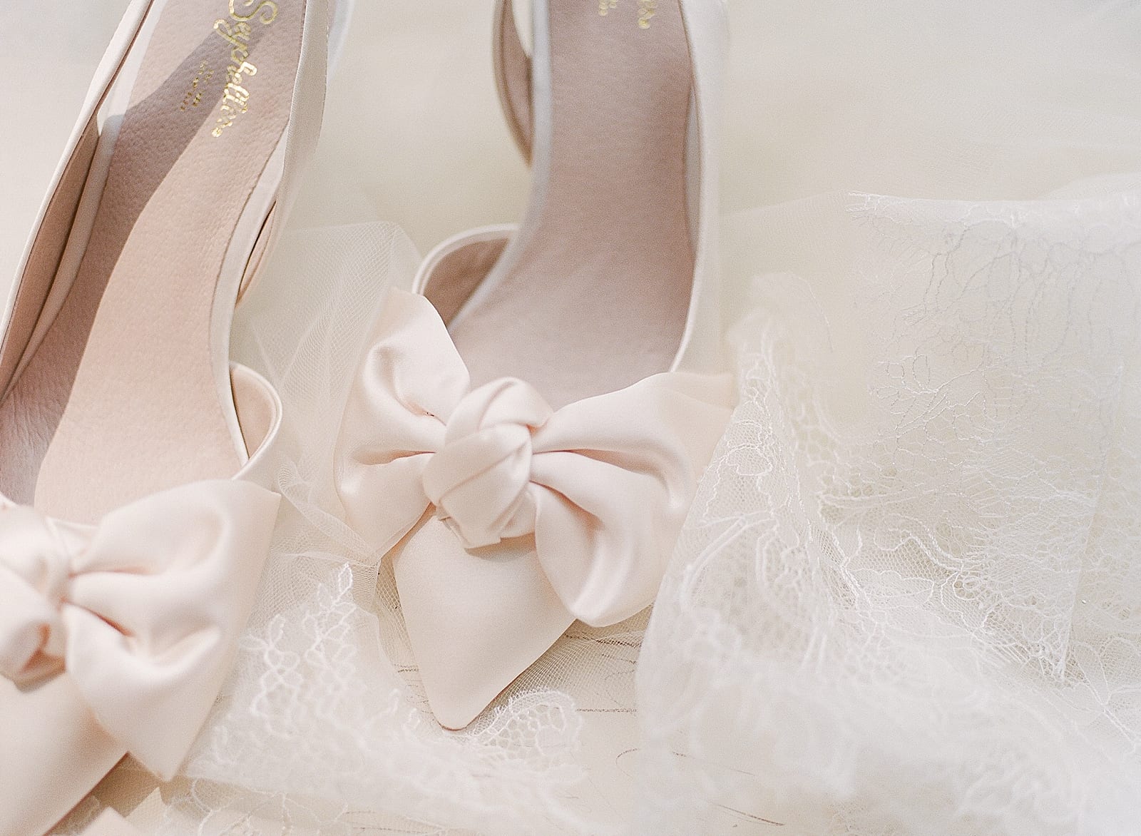 Bridal Wedding Shoes Photo
