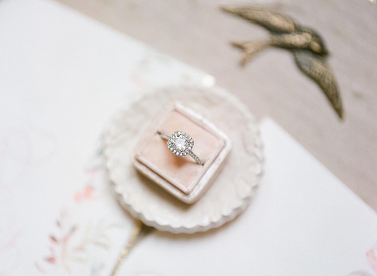 Detail of Engagement Ring Photo