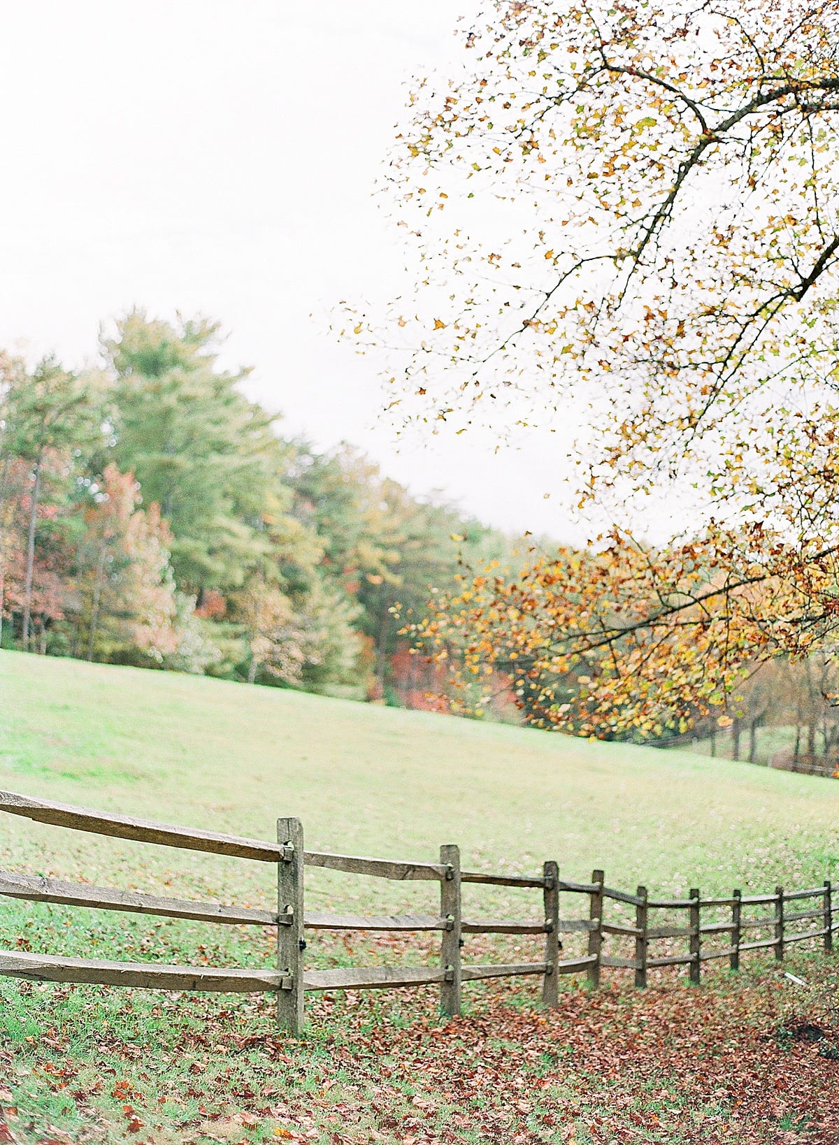 Field with a Split Rail Fence and Fall Leaves Photo