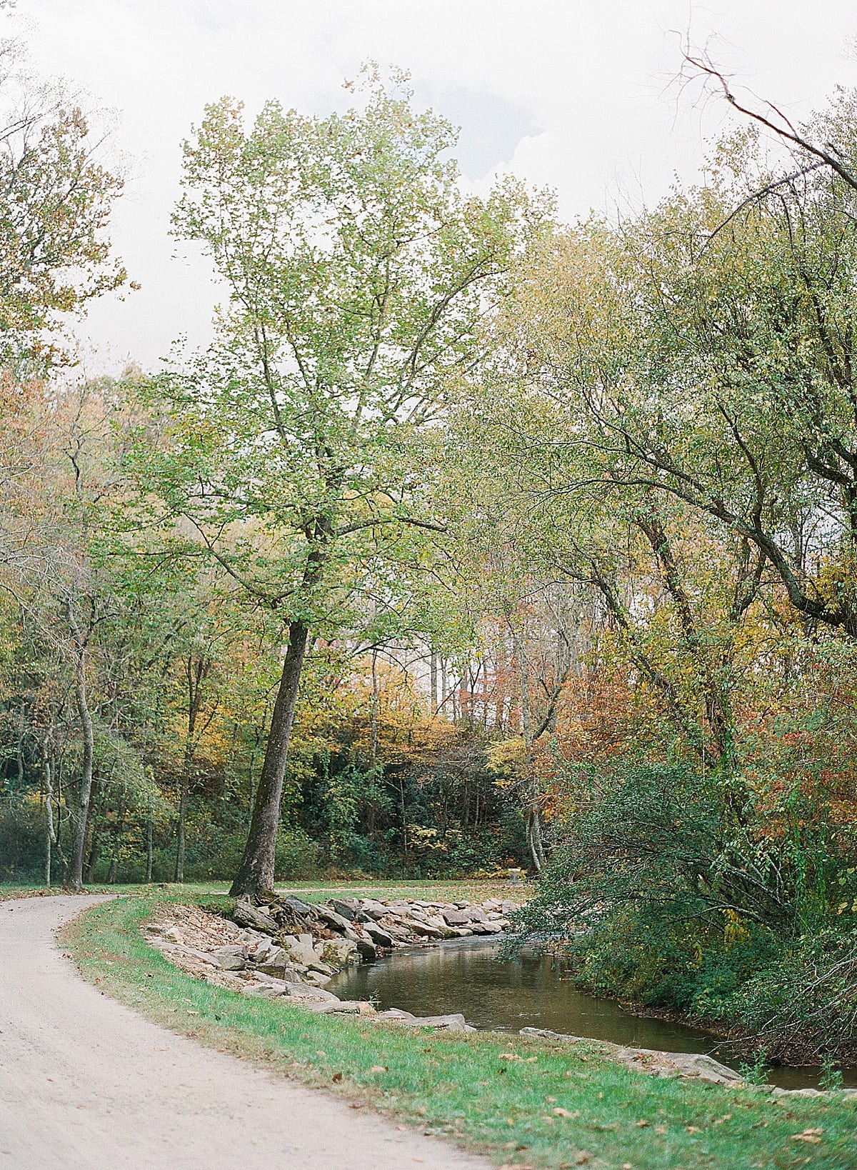 Winding Road with River Next to It Photo