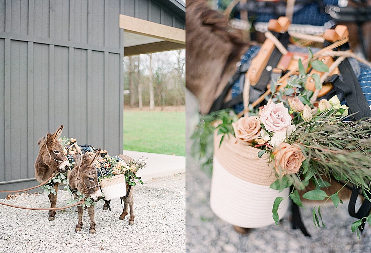 Donkeys with Flower Baskets Greeting Guests at Bridal Shower Photos
