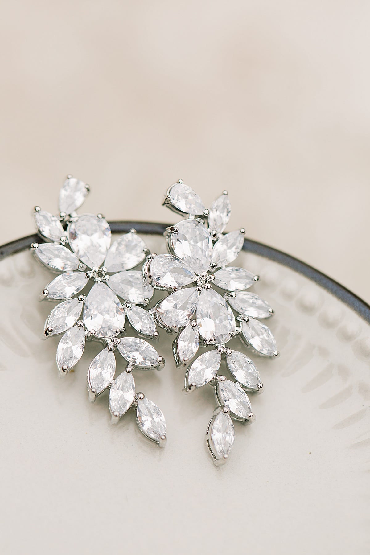 Bridal Sparkly Earrings Photo