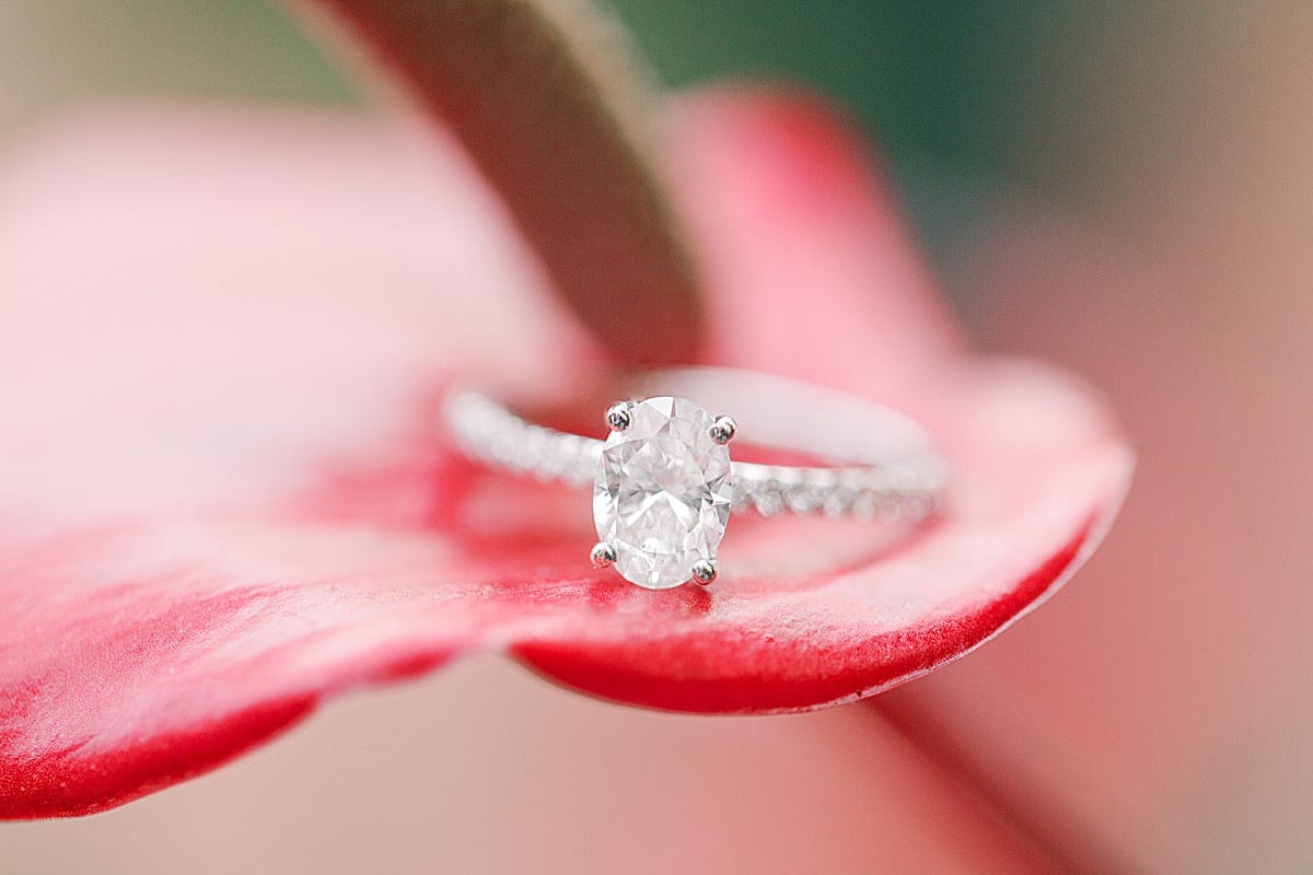 Diamond Engagement Ring on Flower Photo 