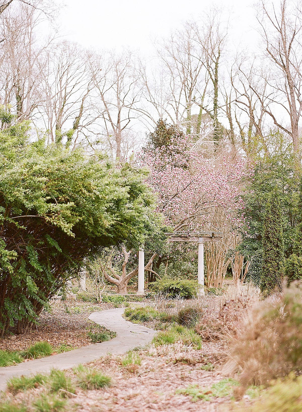 Cator Woolford Gardens Photo