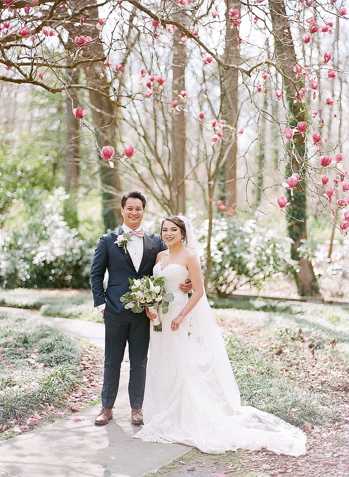 Cator Woolford Gardens Bride and Groom Under Pink Dogwood Tree Photo