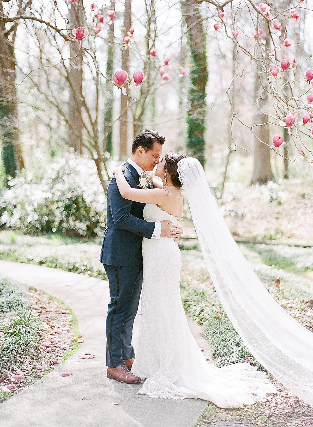 Cator Woolford Gardens Couple Kissing Under Pink Dogwood Tree Photo