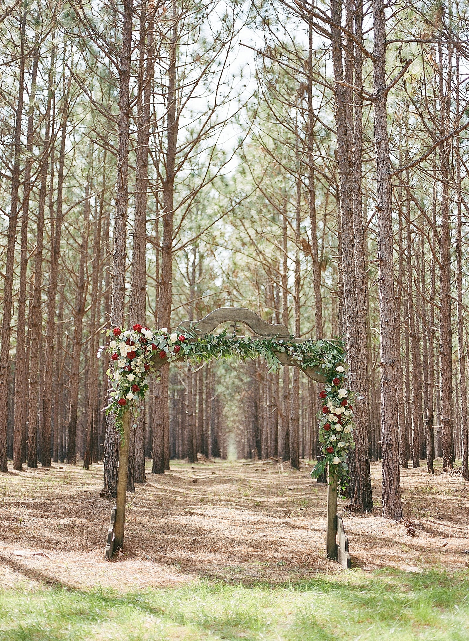 Savannah GA Wedding Photographer Arbor in Pine Trees Photo