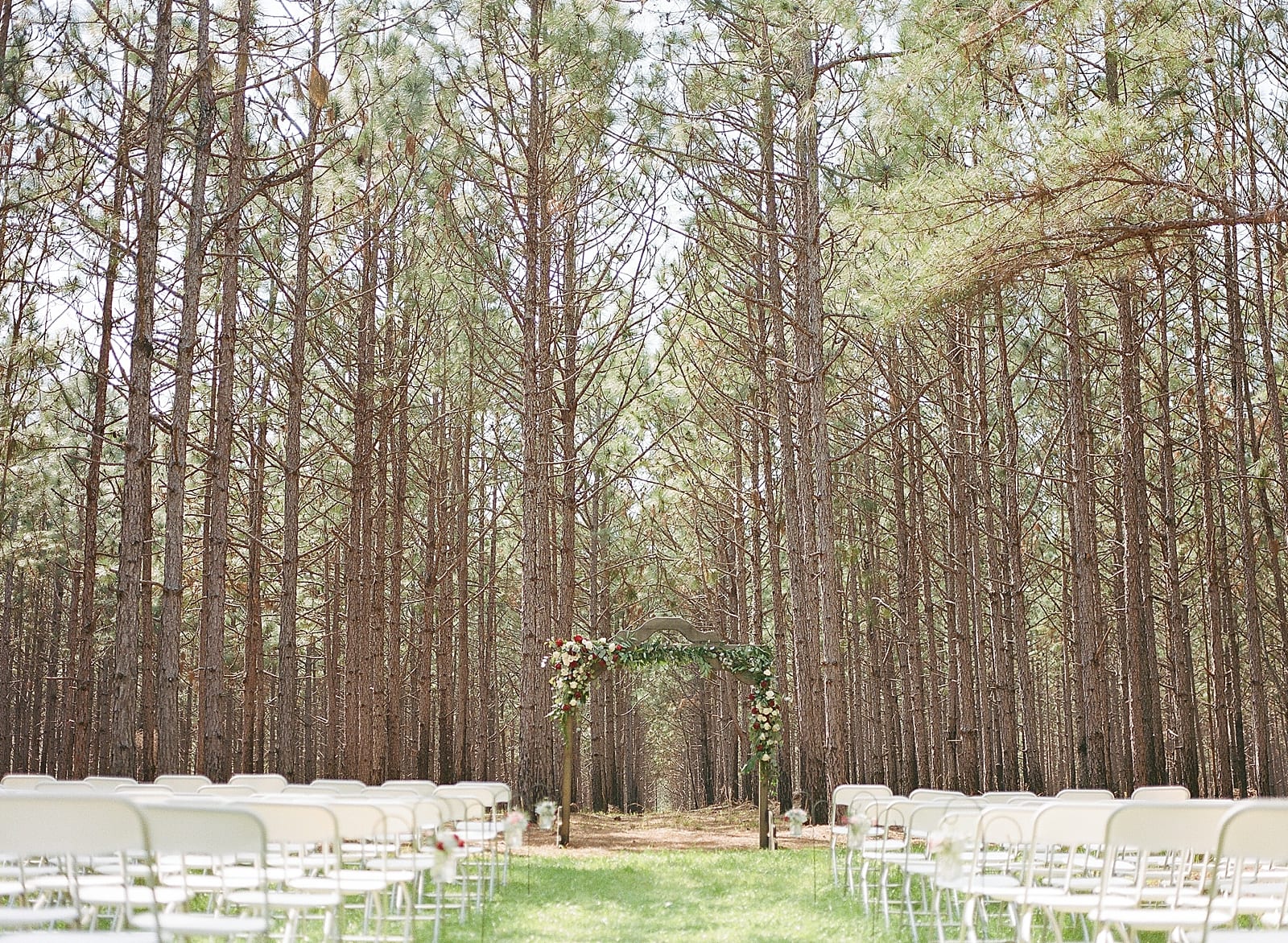Savannah GA Wedding Photographer Ceremony Site in Pine Trees Photo