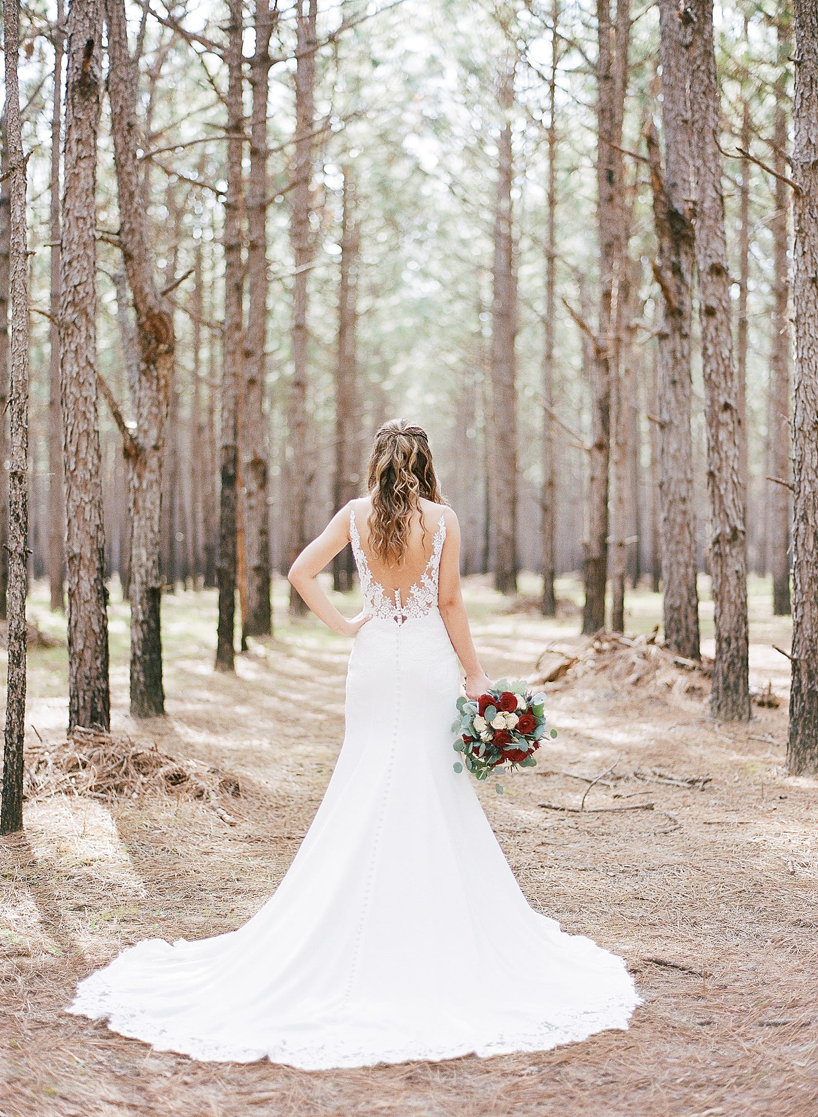 Back of Bride in Pine Trees Photo