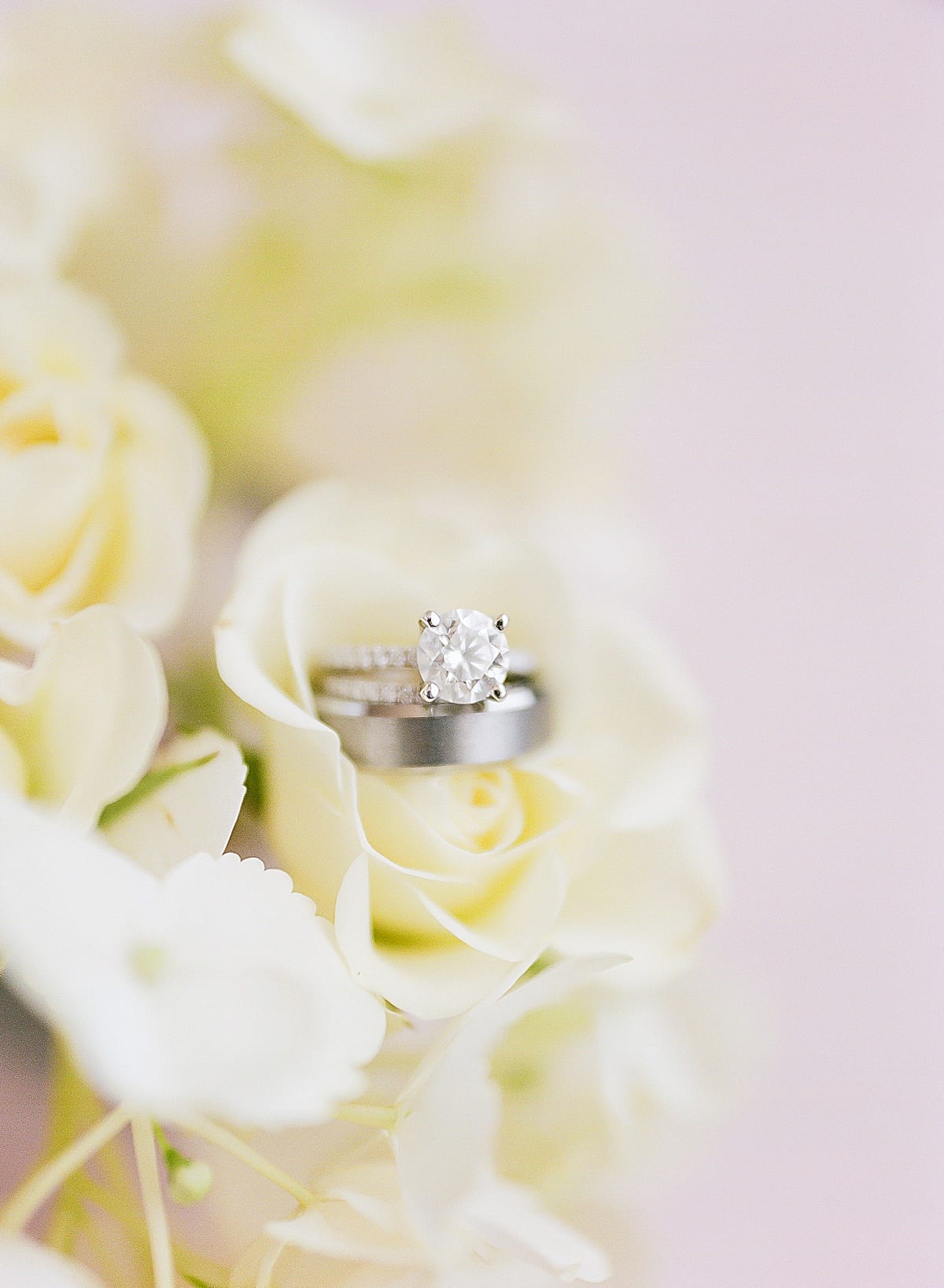 Bride and Groom Wedding Rings On Flowers Photo