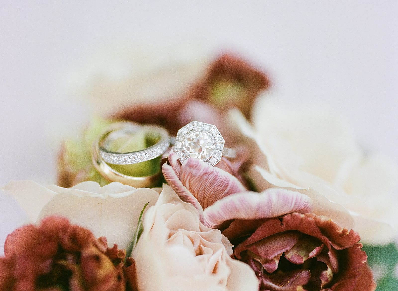 Wedding Rings on Flowers Photo