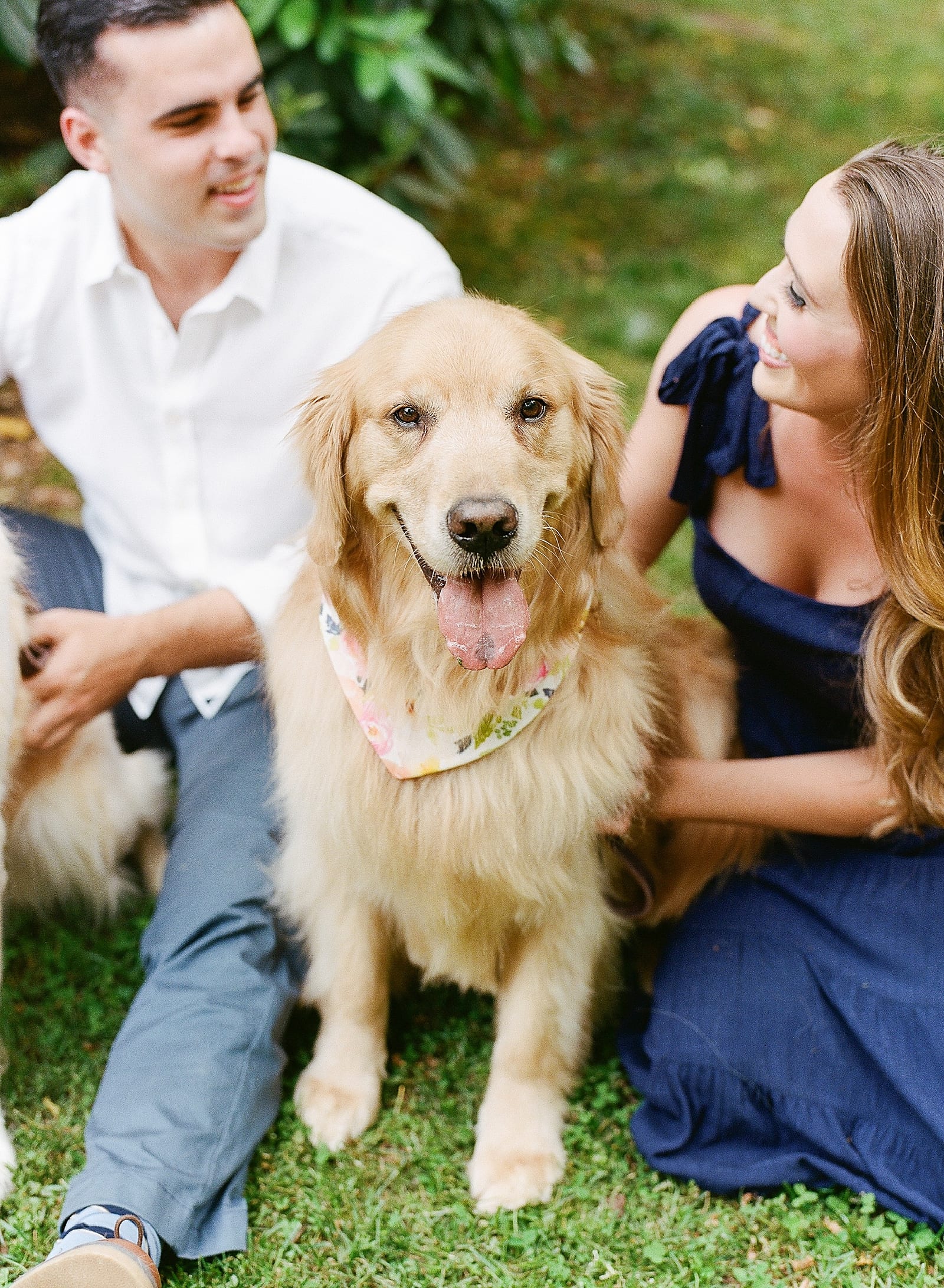 Golden Retriever Sitting with Owners Photo