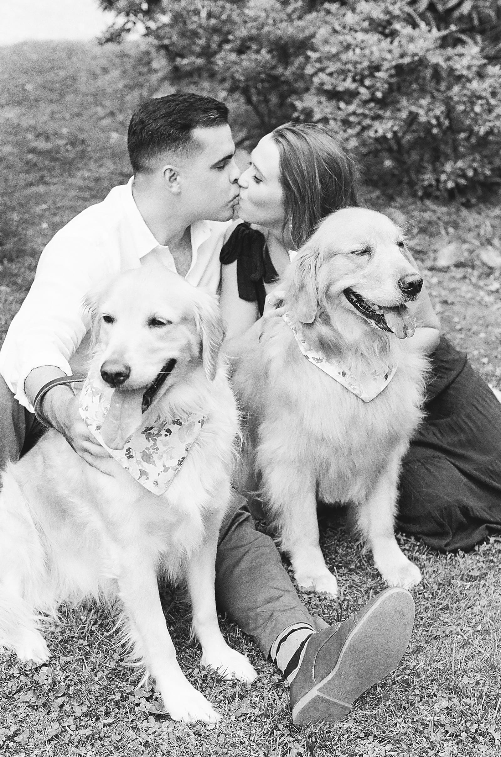 Black and White of Couple Kissing with Dogs Photo