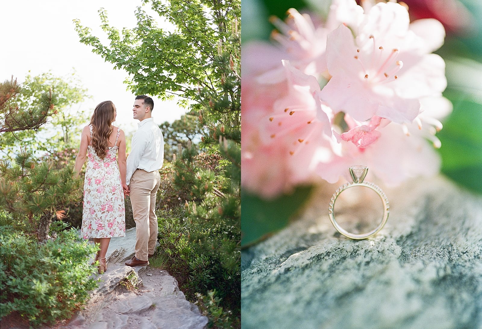 Hawksbill Mountain NC Couple Holding Hands and Ring Photos