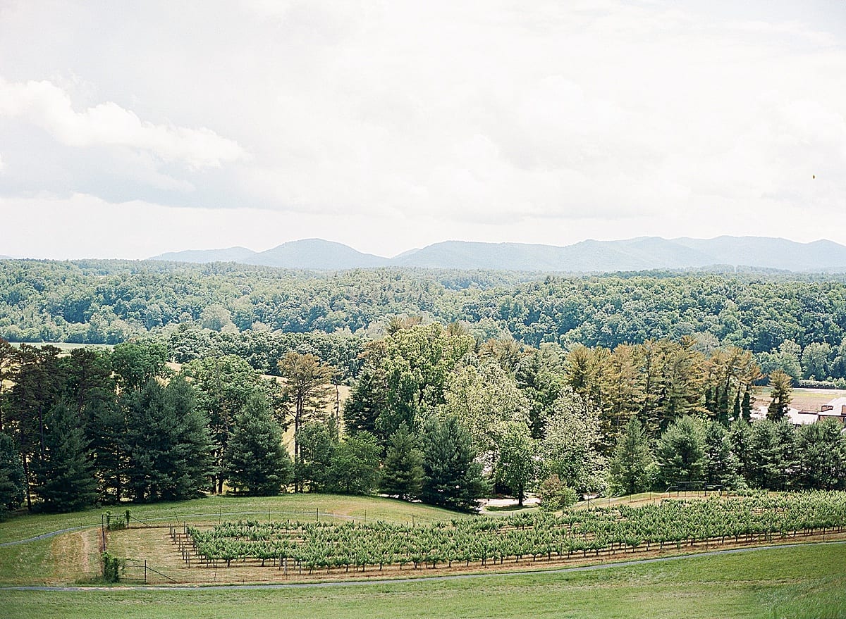 Biltmore Wedding Vineyard with Mountains Photo