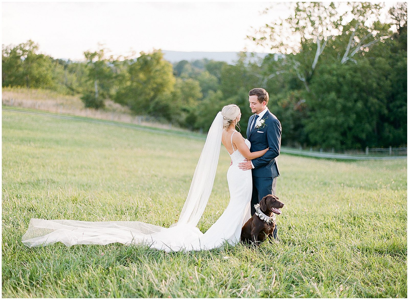 Bride and Groom Smiling at Each Other in Field with Dog Photo