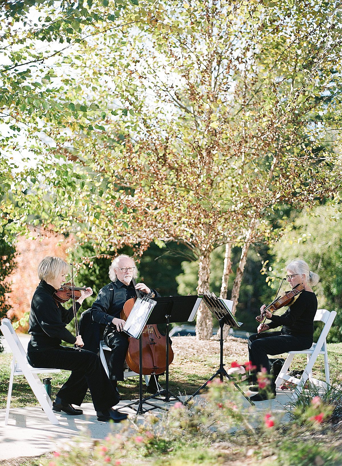 String Trio at Omni Grove Park Inn Photo