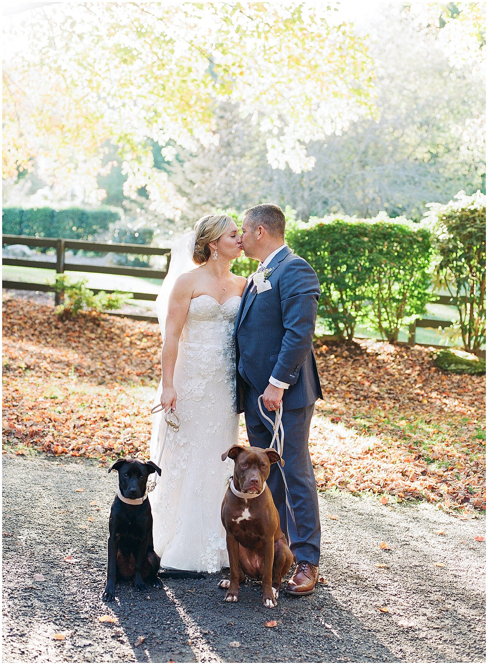 Fall Hawkesdene Wedding Bride and Groom Kissing with Dogs Photo