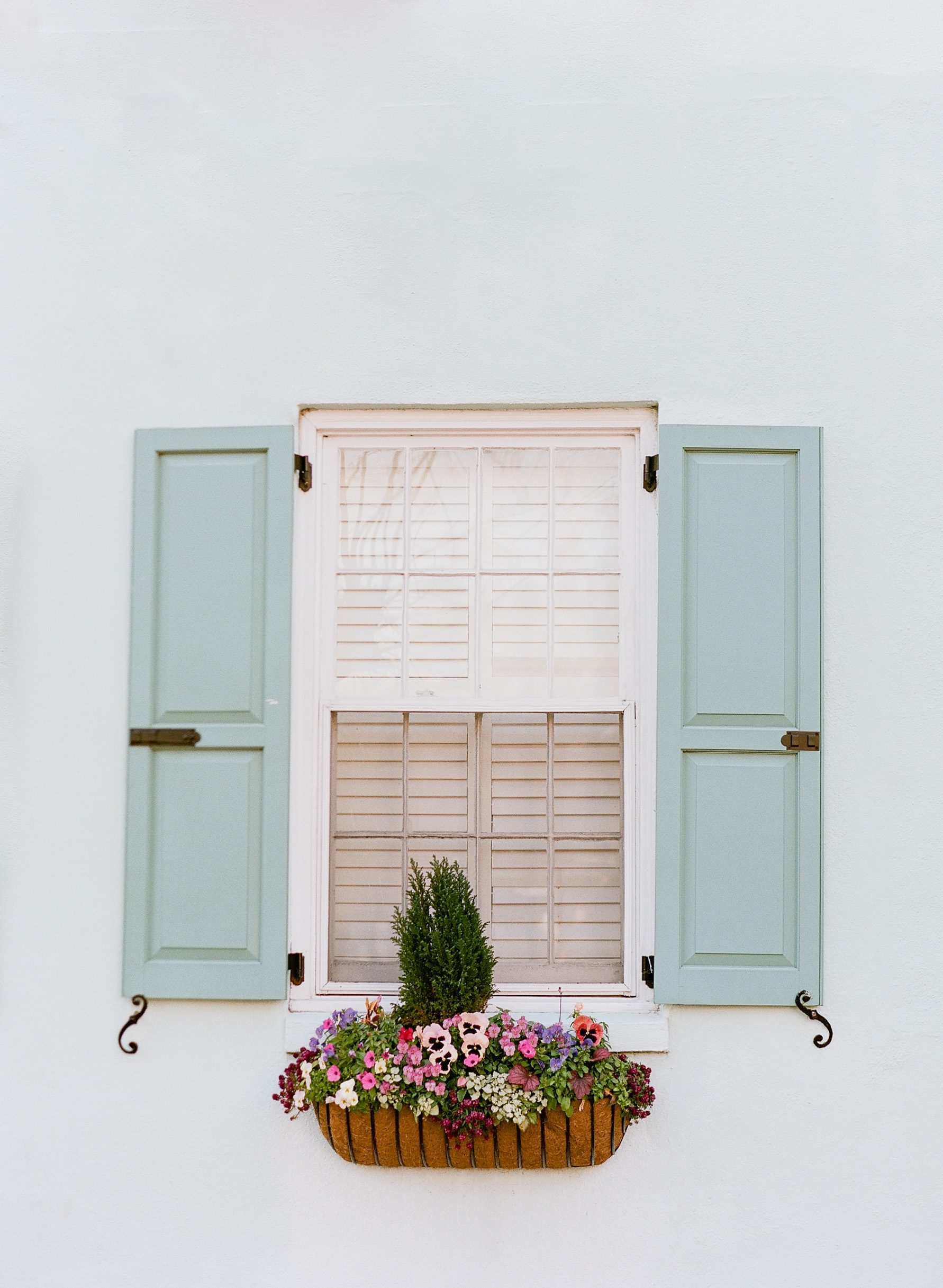 Charleston SC photographer Window With Flowers Photo
