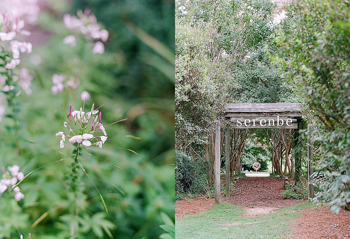 Engagement Session at Serenbe Flowers and Sign Photos
