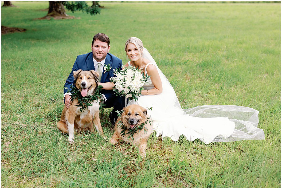 Bride and Groom with Dogs Photo