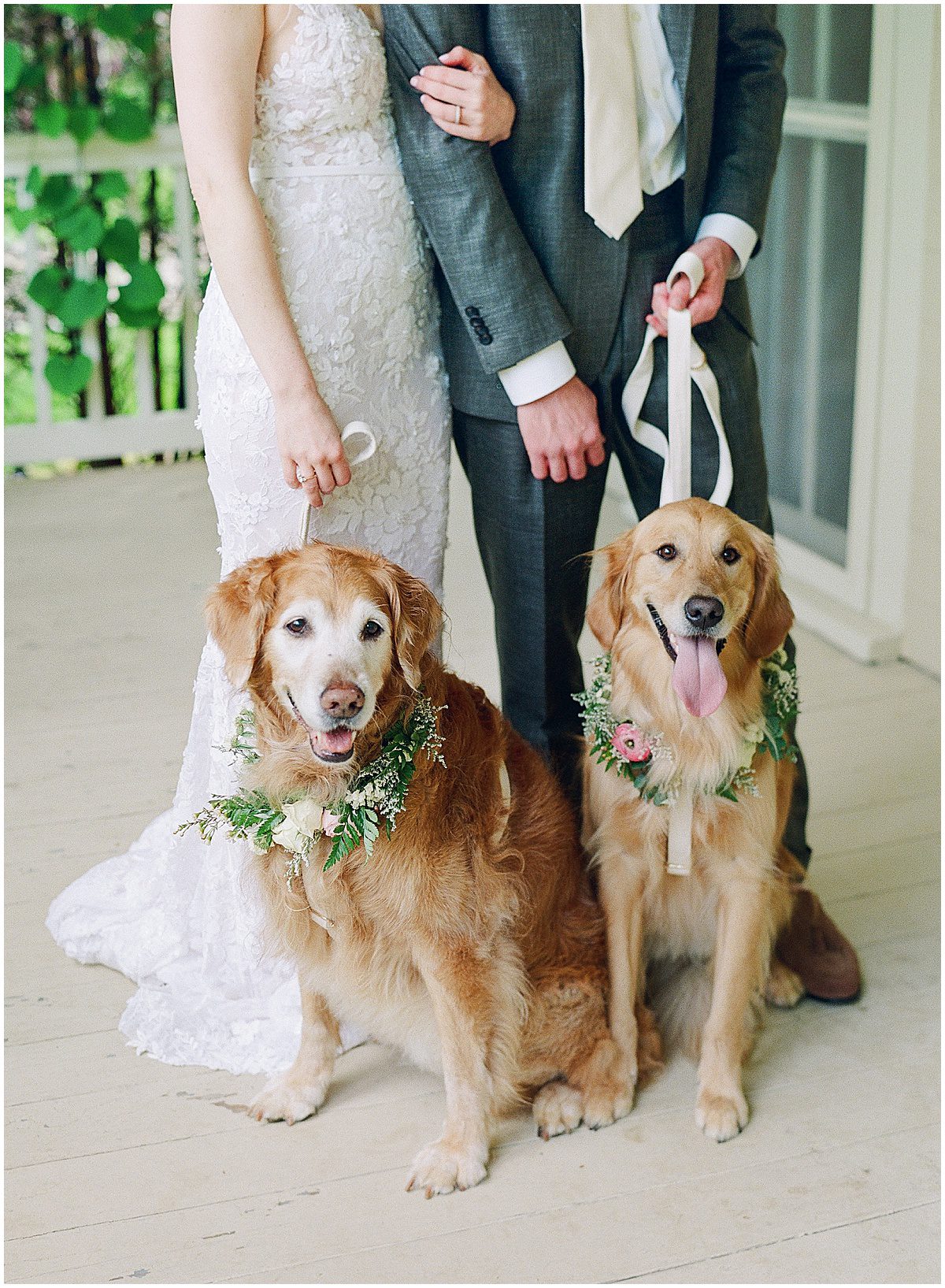 Two Golden Retrievers with Flower Collars at Hutchinson House Wedding Photo