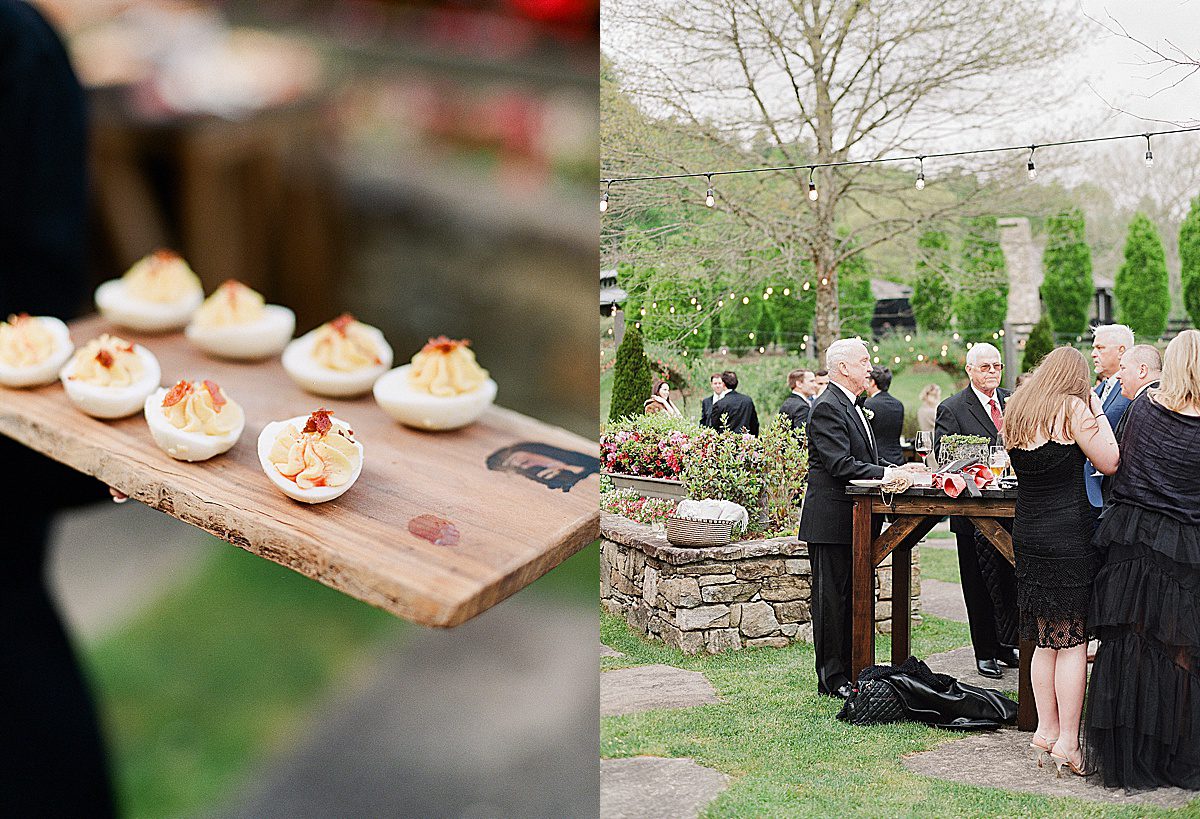 Hors Devours and Cocktail Hour at Lonesome Valley Wedding in Cashiers Photos