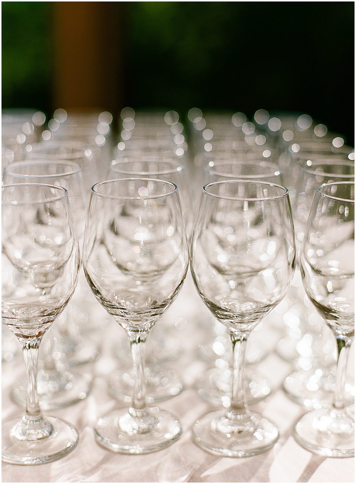 Wine Glasses at Skyline Lodge Wedding Photo