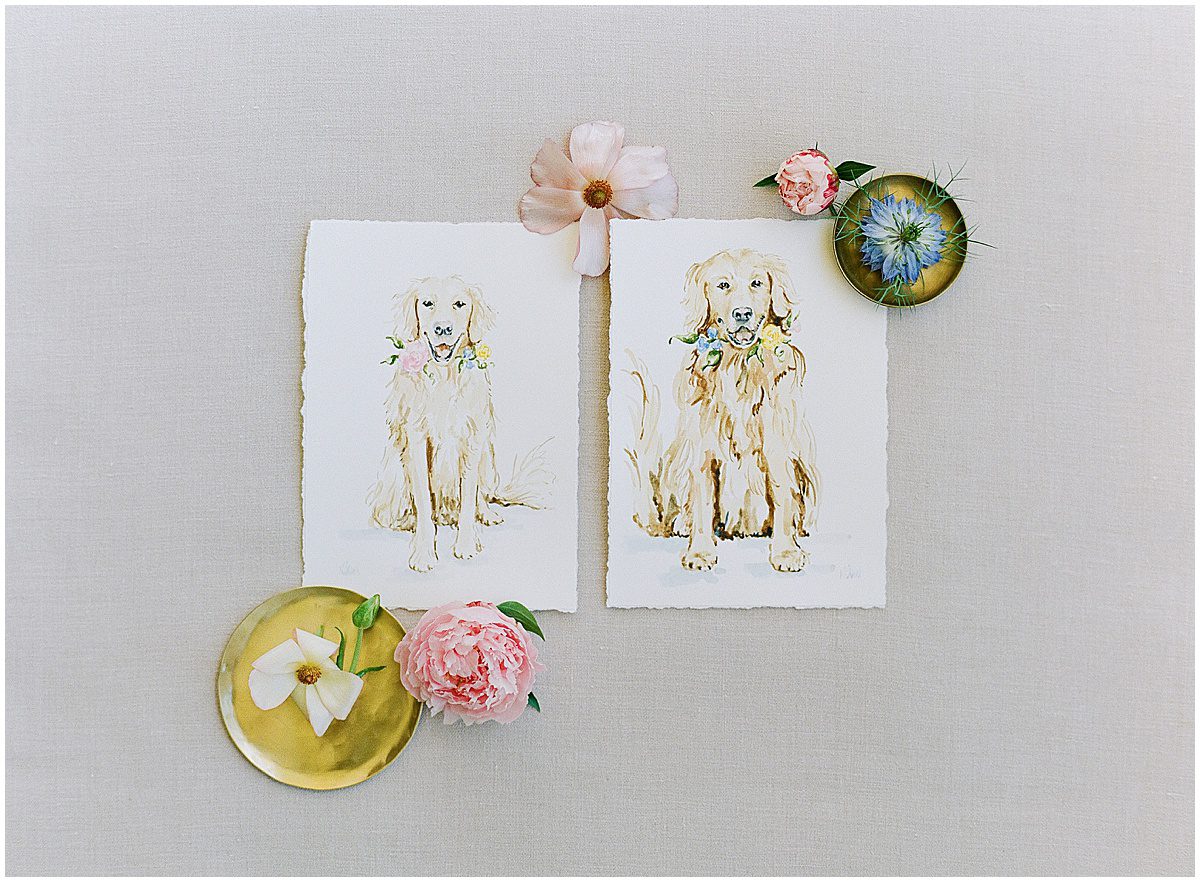 Dog Watercolors Photo