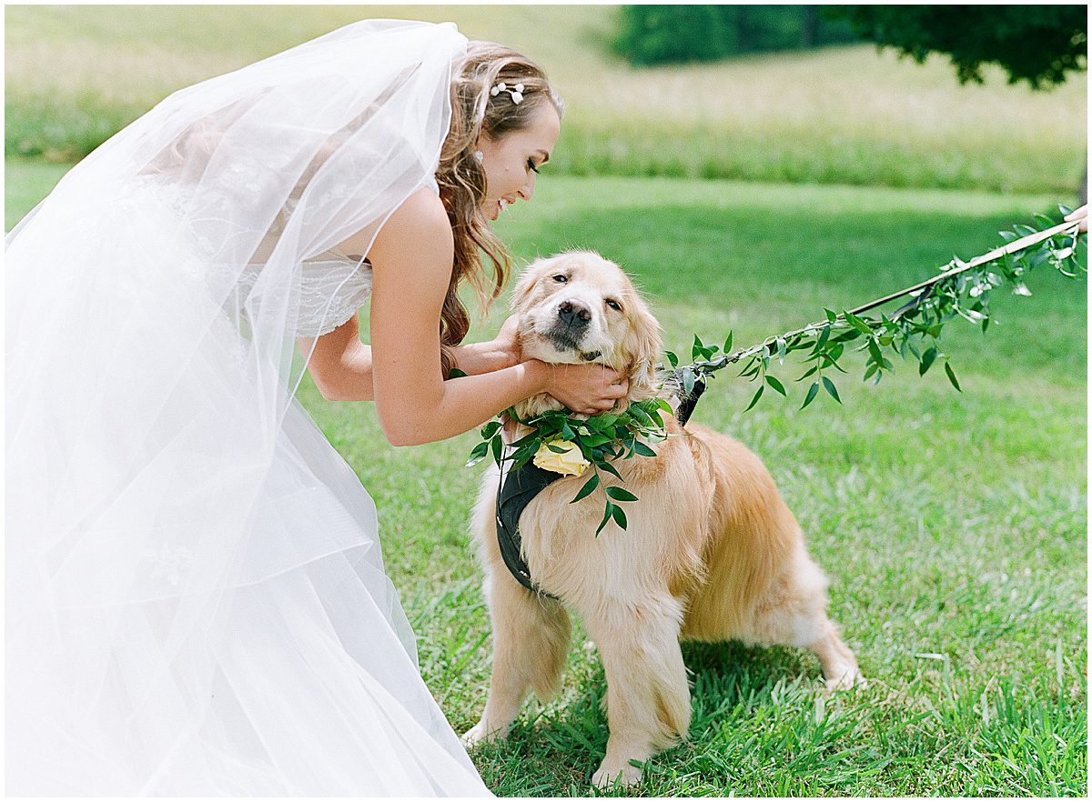 Brides First Look With Her Dog at The Ridge Asheville Photo