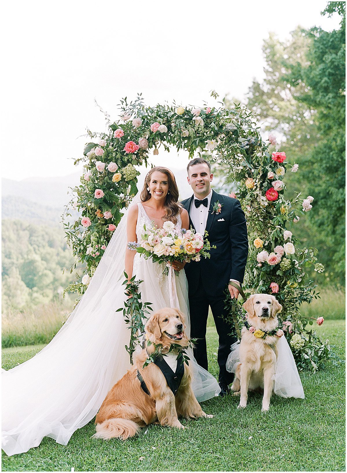 Bride and Groom with Golden Retrievers at The Ridge Asheville Photo